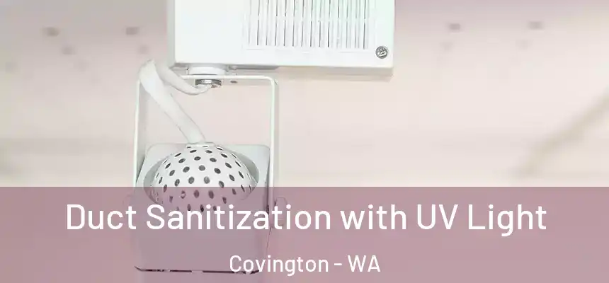  Duct Sanitization with UV Light Covington - WA