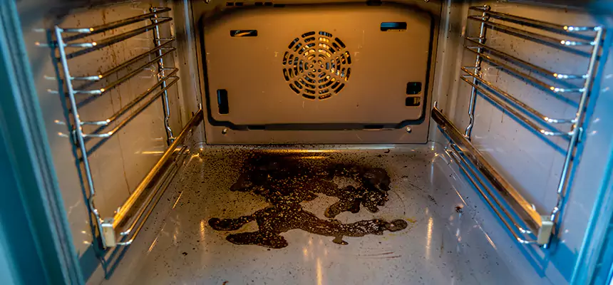 Our Dryer Vent Mold Cleaning Services in Covington, WA