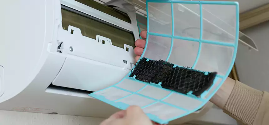 Gentle Ductwork Odor-Control Pet Dander Duct Cleaning in Covington, WA