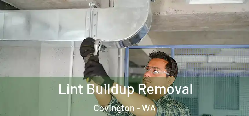  Lint Buildup Removal Covington - WA
