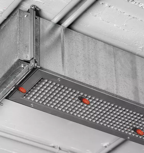 About Air Duct Cockroach Removal in Covington, WA