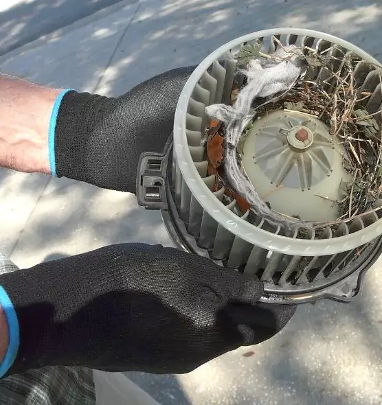 About Air Duct Mice Removal in Covington, WA