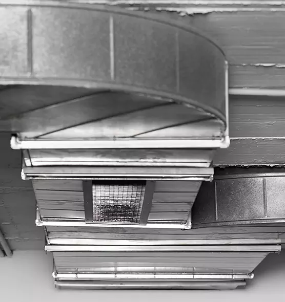 Professional Air Duct Pet Hair Removal in Covington, WA