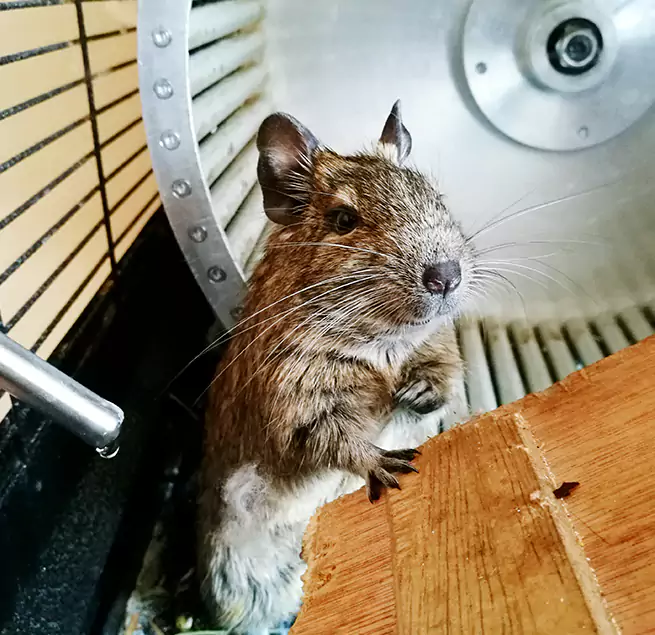 Why Homeowners & Businesses Trust Us Covington, WA?