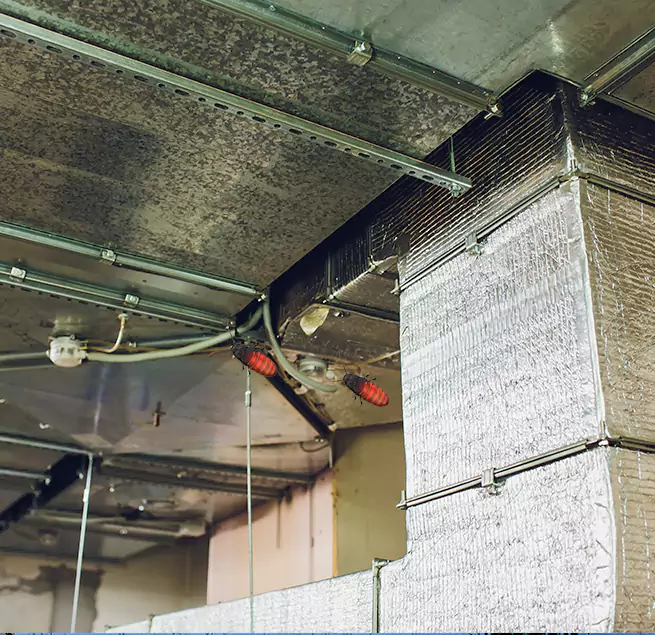 Why Homeowners & Businesses Trust Us Covington, WA?