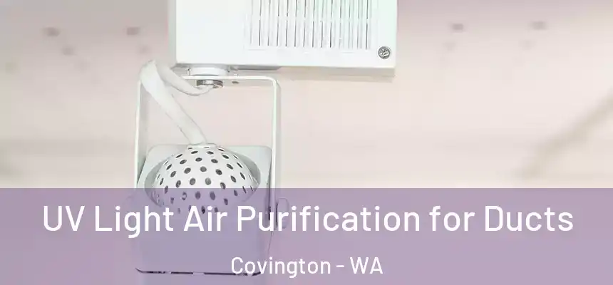  UV Light Air Purification for Ducts Covington - WA